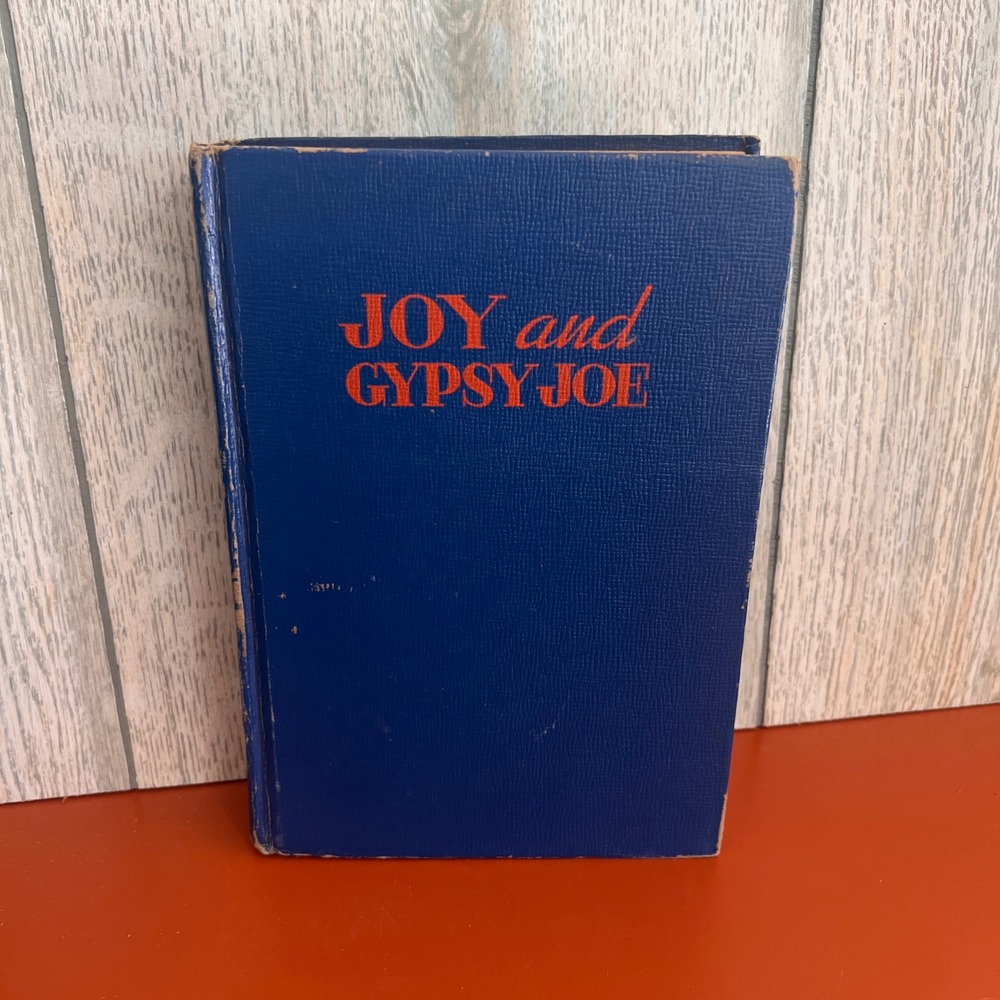 Joy and Gypsy Joe Dorothy Whitehill 1927 Vintage Hardcover Whitman Publishing
